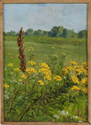 Махалов Михаил Николаевич. Полевые цветы